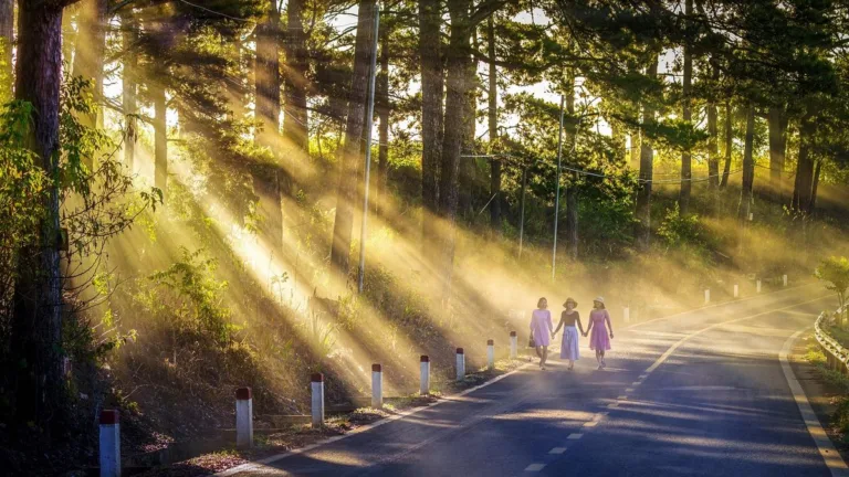 Gut Health and Lifestyle: Sleep, Daylight, Stress and Movement