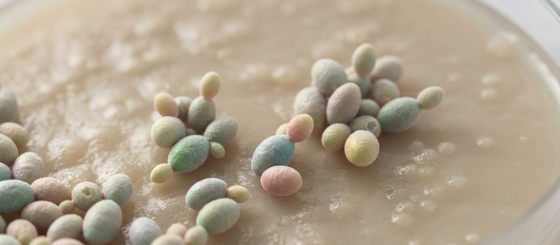 A detailed microscopic view of Candida dubliniensis, showcasing the yeast's distinctive cell morphology in a visually striking manner. In the foreground, vibrant clusters of oval yeast cells are depicted, some budding, highlighting the reproductive process. The middle ground features a textured agar plate, emphasizing the fungal growth pattern with shades of beige and white. The background is softly blurred to focus on the yeast, suggesting a sterile lab environment with muted colors to convey a clinical atmosphere. Soft, diffuse lighting illuminates the scene, simulating laboratory conditions, with a shallow depth of field to enhance the subject's clarity and importance. The overall mood is scientific and informative, perfect for an educational article on symptoms and care related to Candida dubliniensis.