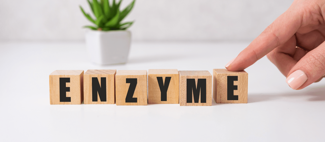 digestive enzymes